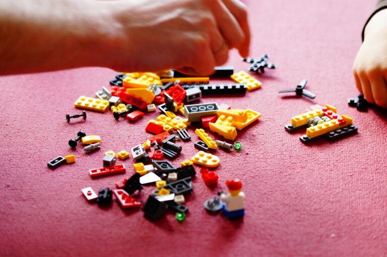 Tra mattoncini e macchinine: la magia del gioco condiviso